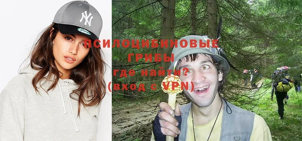 гидра Алзамай