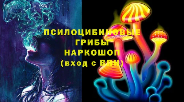 стафф Алексеевка