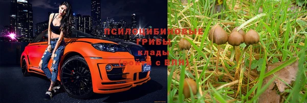 гидра Алзамай