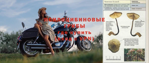 гидра Алзамай