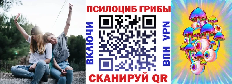 купить закладку  Кудрово  Псилоцибиновые грибы Cubensis 